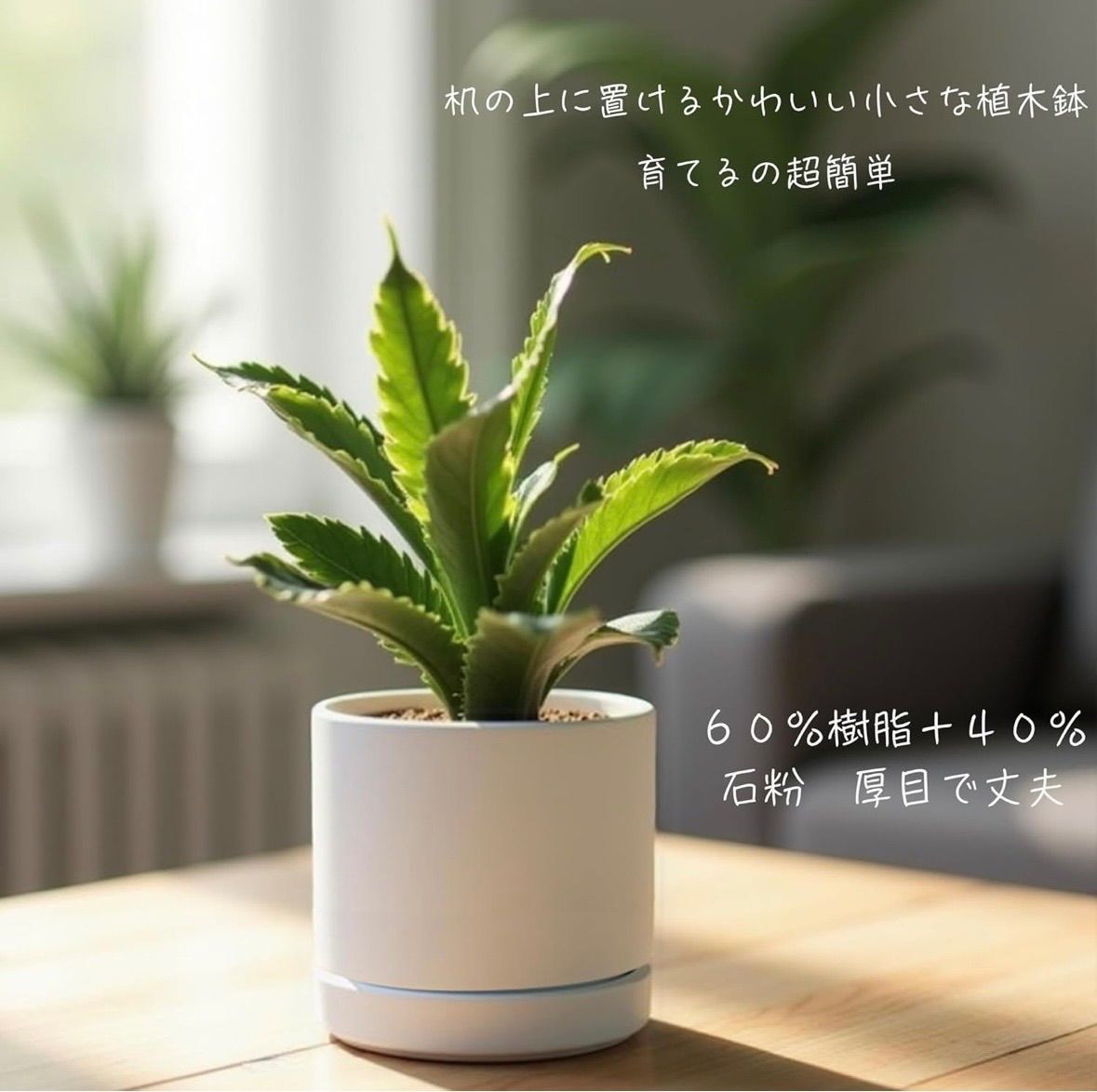 Greenship 植木鉢 受け皿付き 5号（15.8CM） マット質感なオシャレ鉢