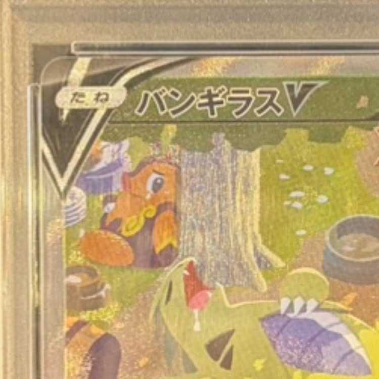 PSA10】バンギラスV SR 077/070 1枚 - メルカリ