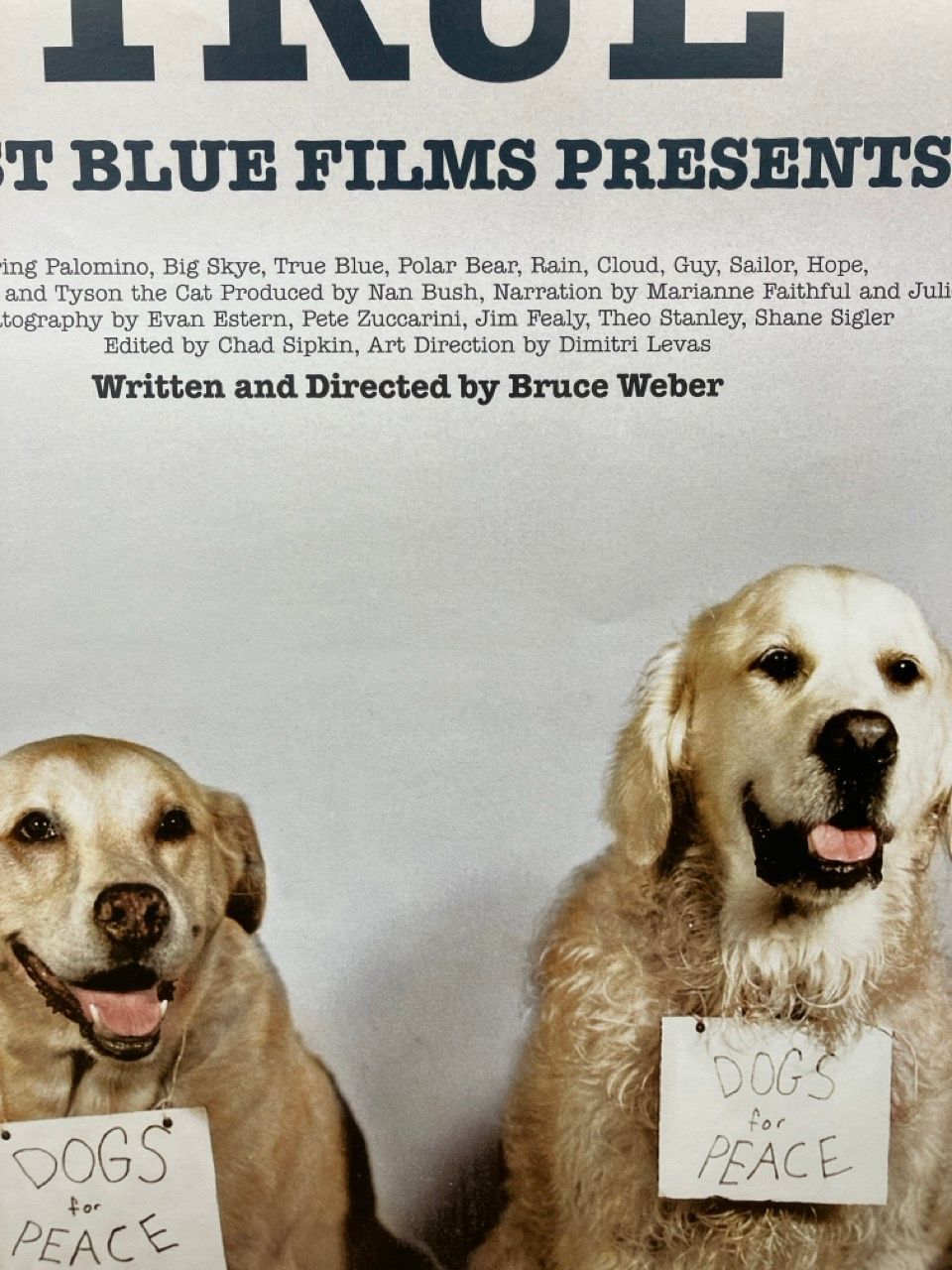 ポスター BRUCE WEBER A LETTER TO TRUE トゥルーへの手紙 ブルース