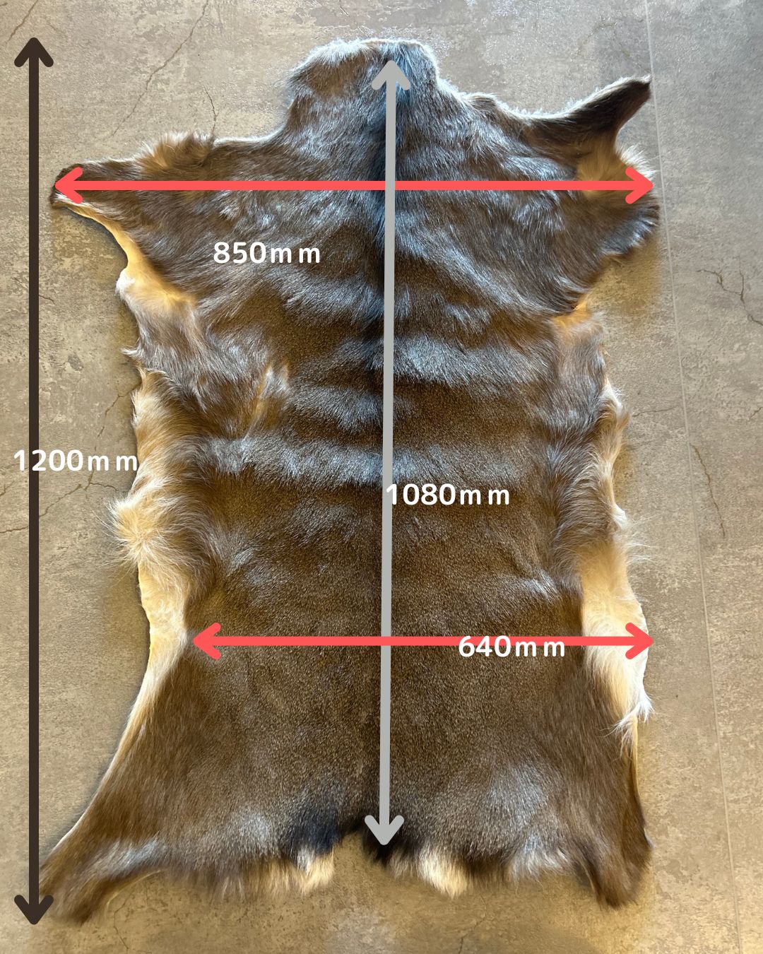 鹿の毛皮 ラグ敷物 毛革 鹿革 鹿9 ブッシュクラフト 野営 キャンプ