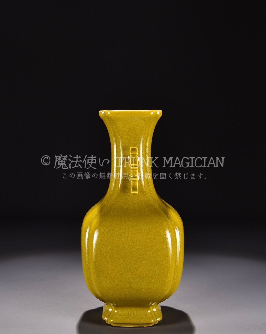 旧家蔵出し 大清乾隆年製 茶葉末釉 雙耳瓶 古陶瓷器 陶芸 造型精美 古