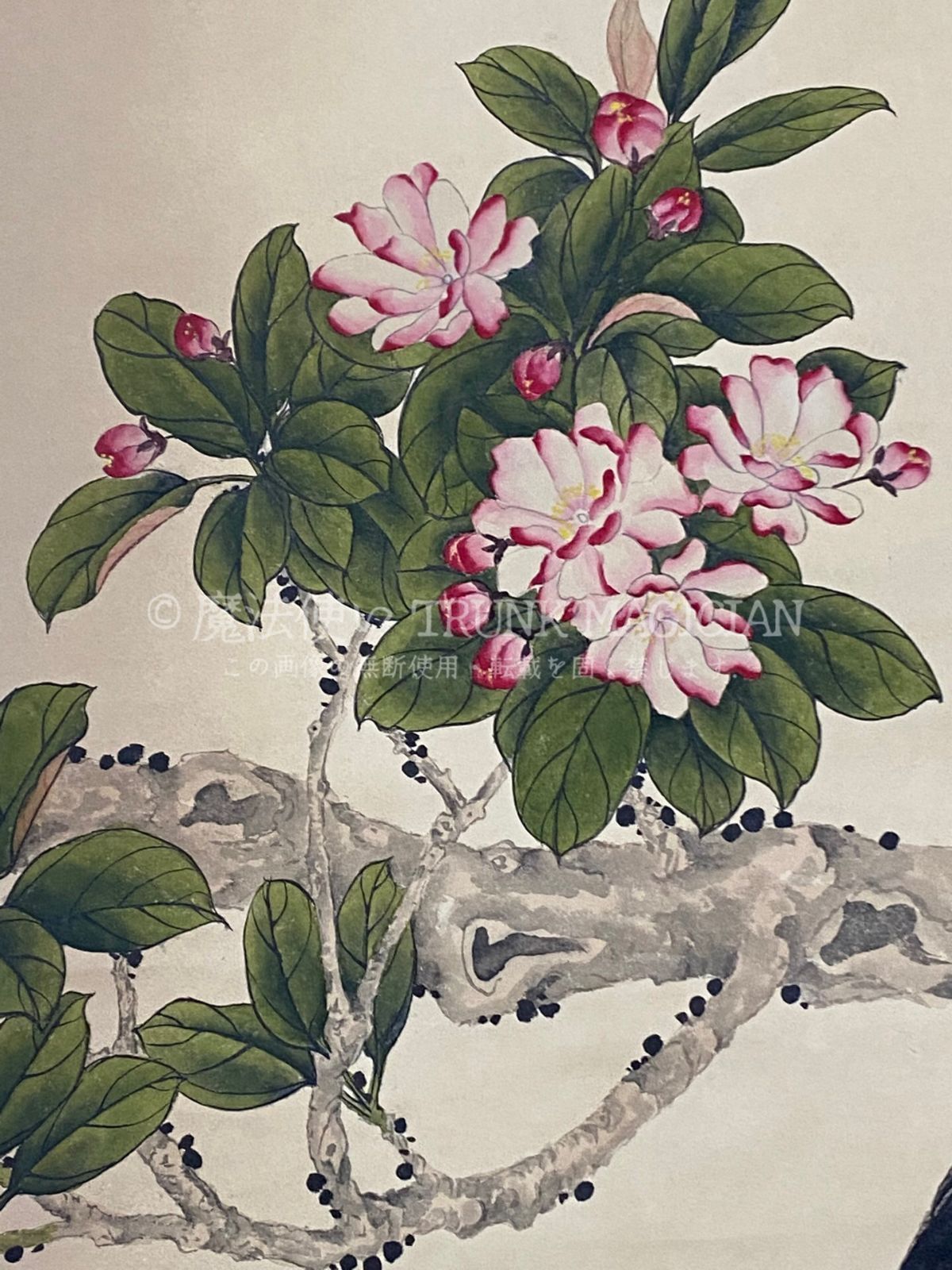 中国古美術・花鳥畫画・純手描き・宣紙・国画・書道品・珍品画・肉筆・文房置物・賞物 旧家蔵出し 四尺中堂画 陳之仏 花鳥画 宣紙 肉筆紙本 掛軸 中国画 中国