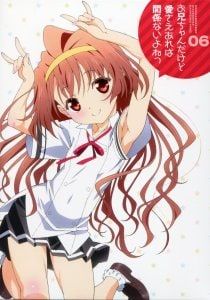 Blu-ray／お兄ちゃんだけど愛さえあれば関係ないよねっ Vol.6 - メルカリ