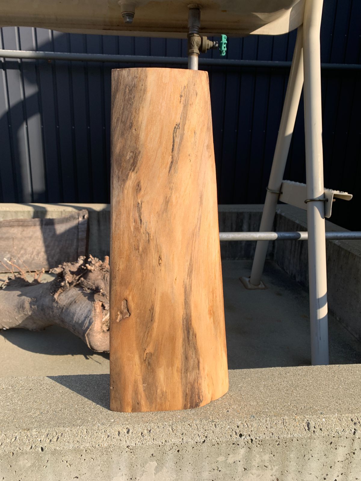 ケヤキ 欅 一枚板 44cm 板材 木材 [647] 一枚板 ケヤキ 無垢材44