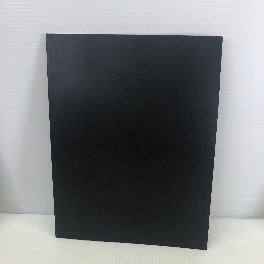 海盗セブン DVD＆パンフレット 地球ゴージャス プロデュース公演 Vol