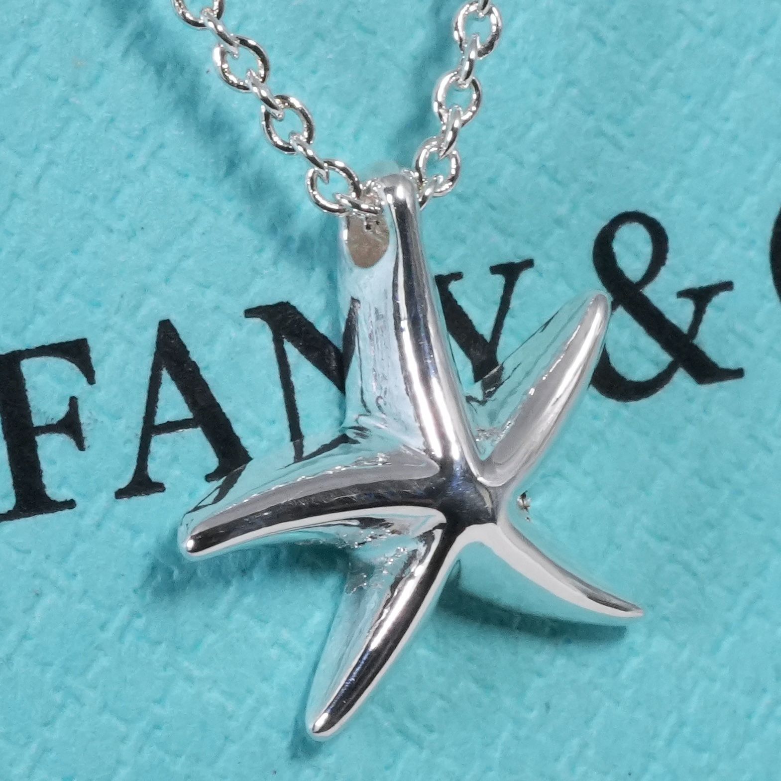 極美品 ティファニー スターフィッシュ シルバー ネックレス/24-4999