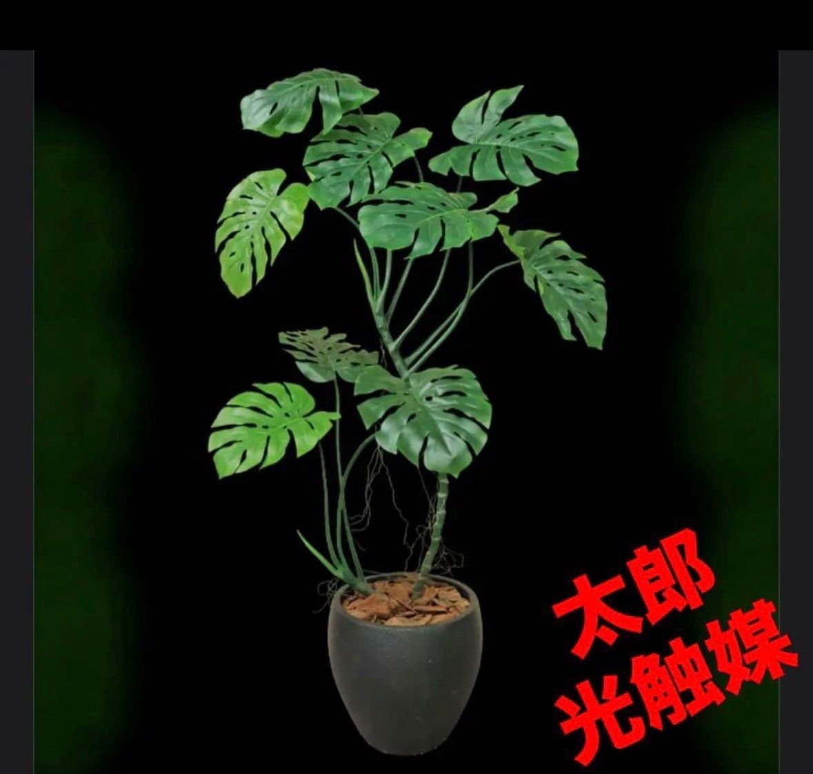 光触媒 人工観葉植物 ウォールグリーン フェイクグリーン モンステラ