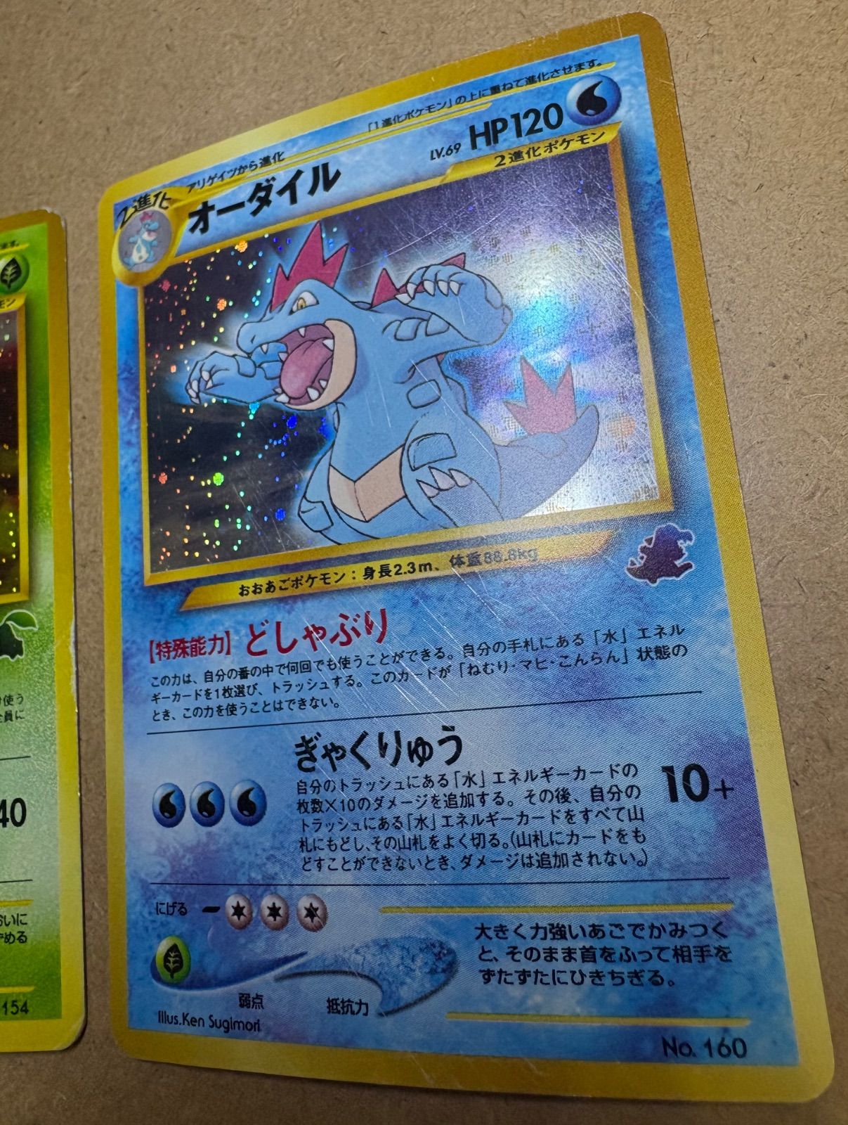 イントロパックneoのメガニウム(チコリータマーク)＆オーダイル