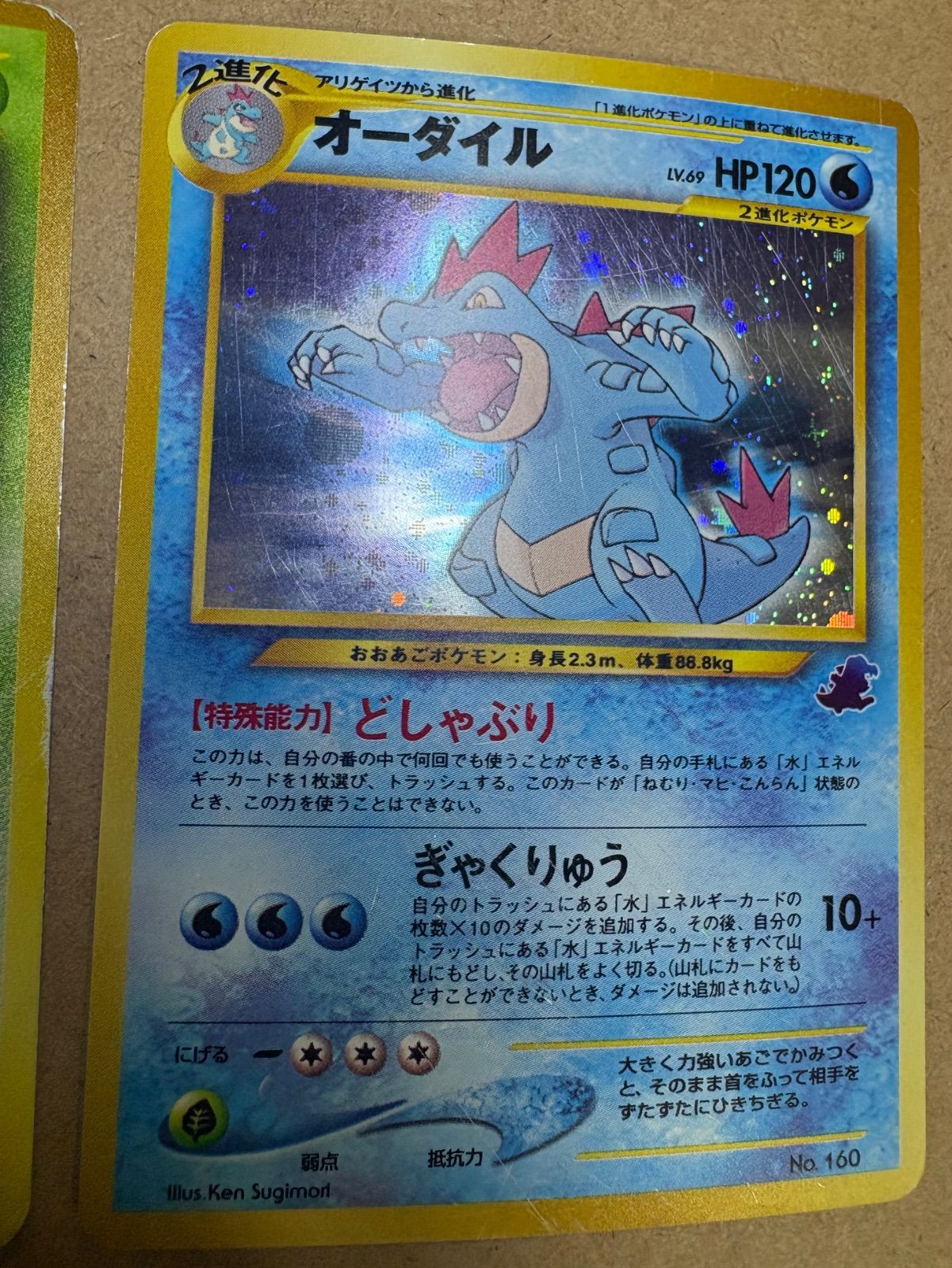 イントロパックneoのメガニウム(チコリータマーク)＆オーダイル