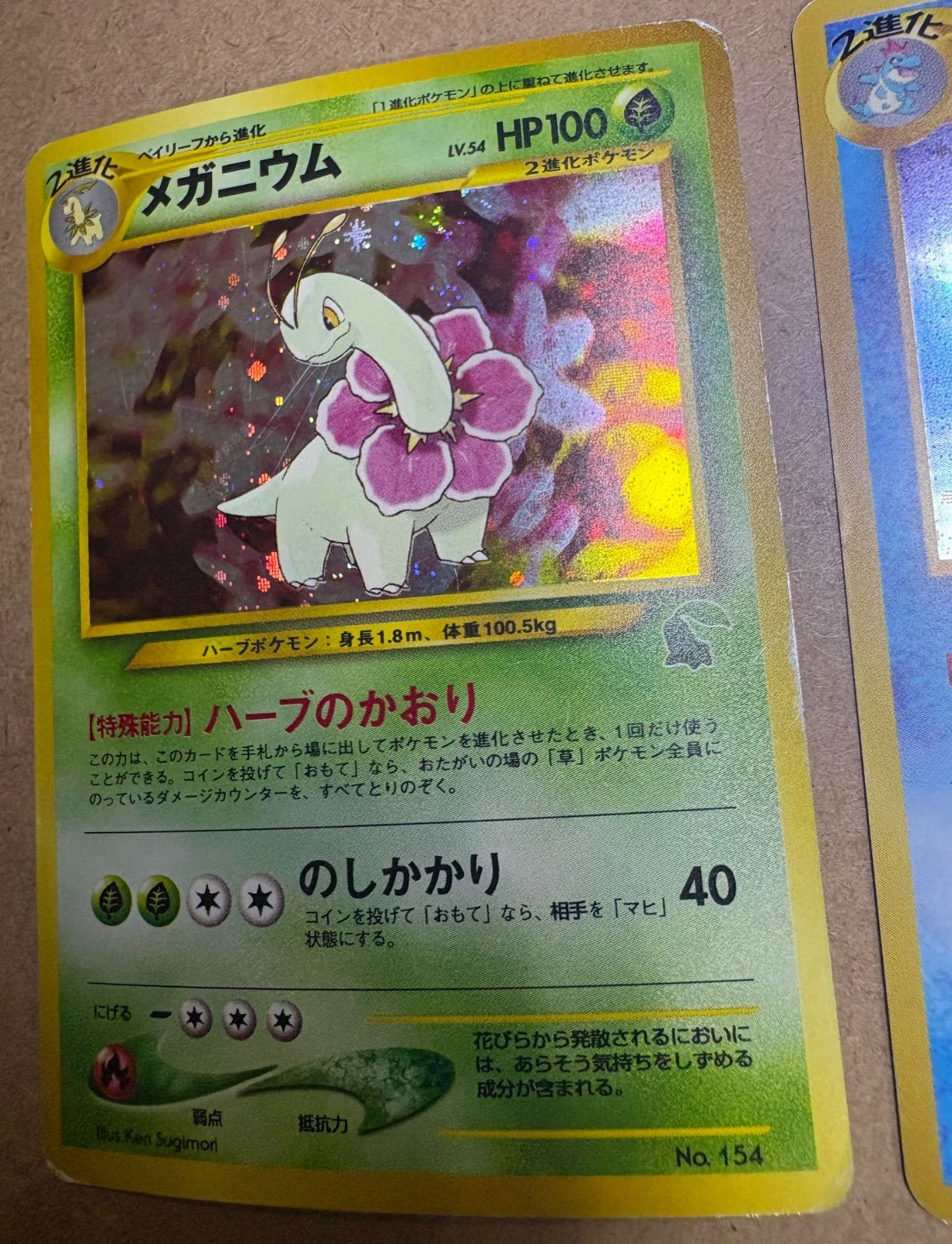 イントロパックneoのメガニウム(チコリータマーク)＆オーダイル