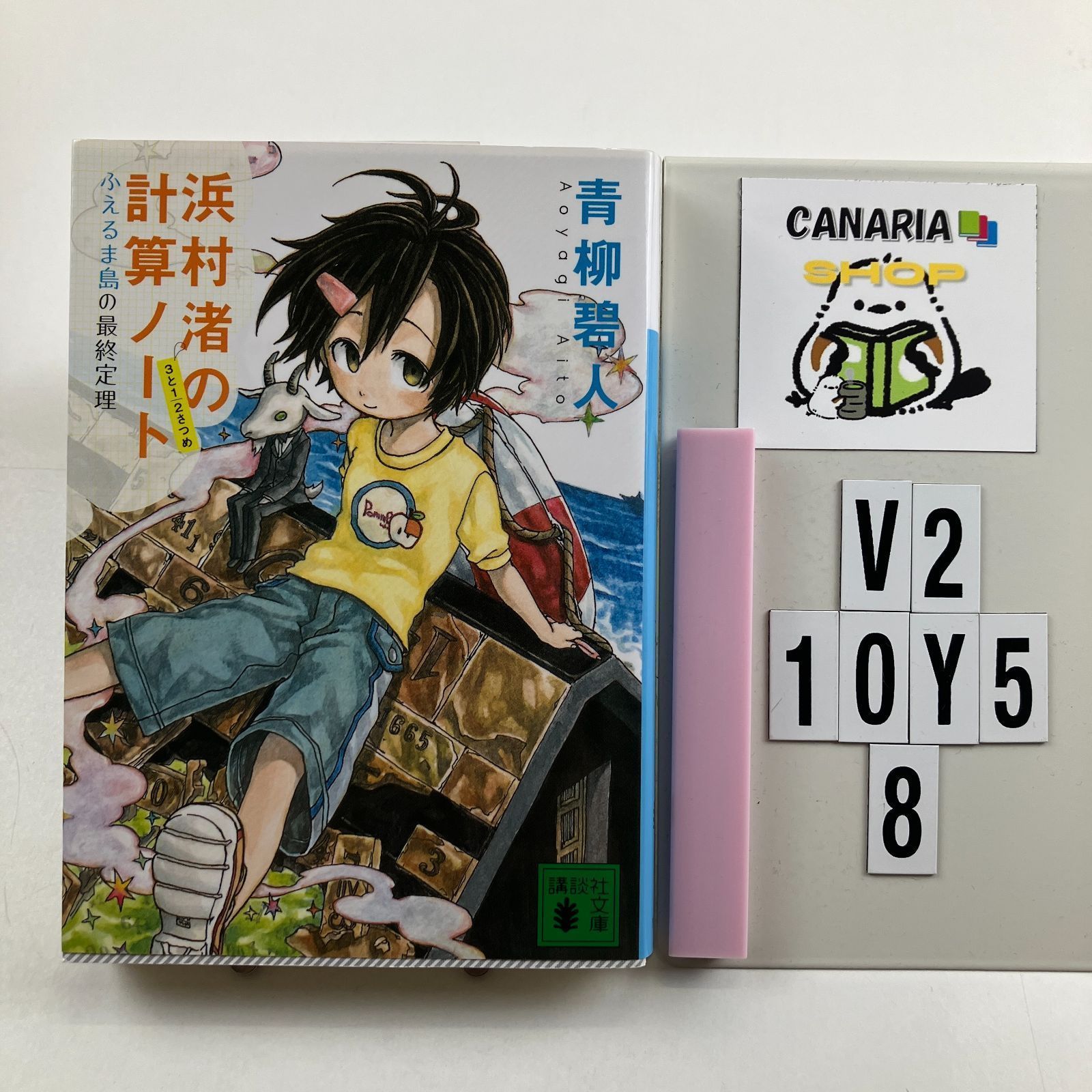 浜村渚の計算ノート 3と1/2さつめ ふえるま島の最終定理 (講談社文庫 