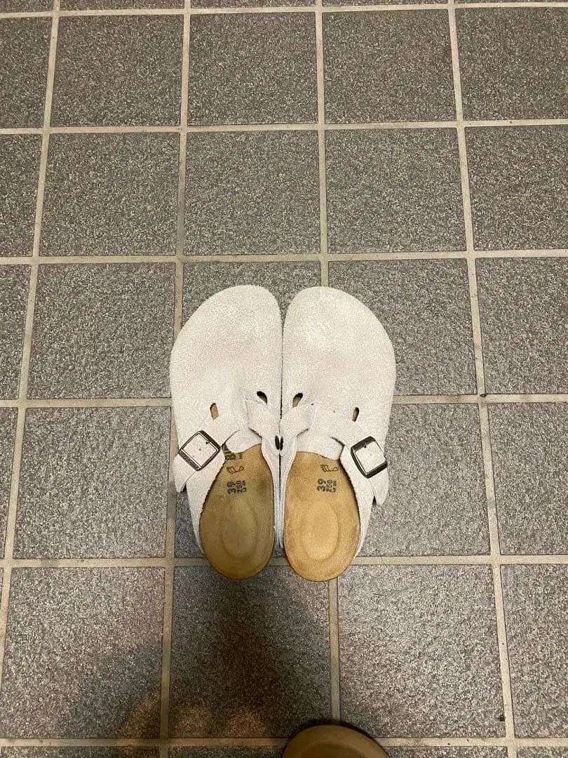 ビルケンシュトック x STUSSY ボストン クロッグ 本 250 ステューシー STUSSY サンダル メンズ 男性用