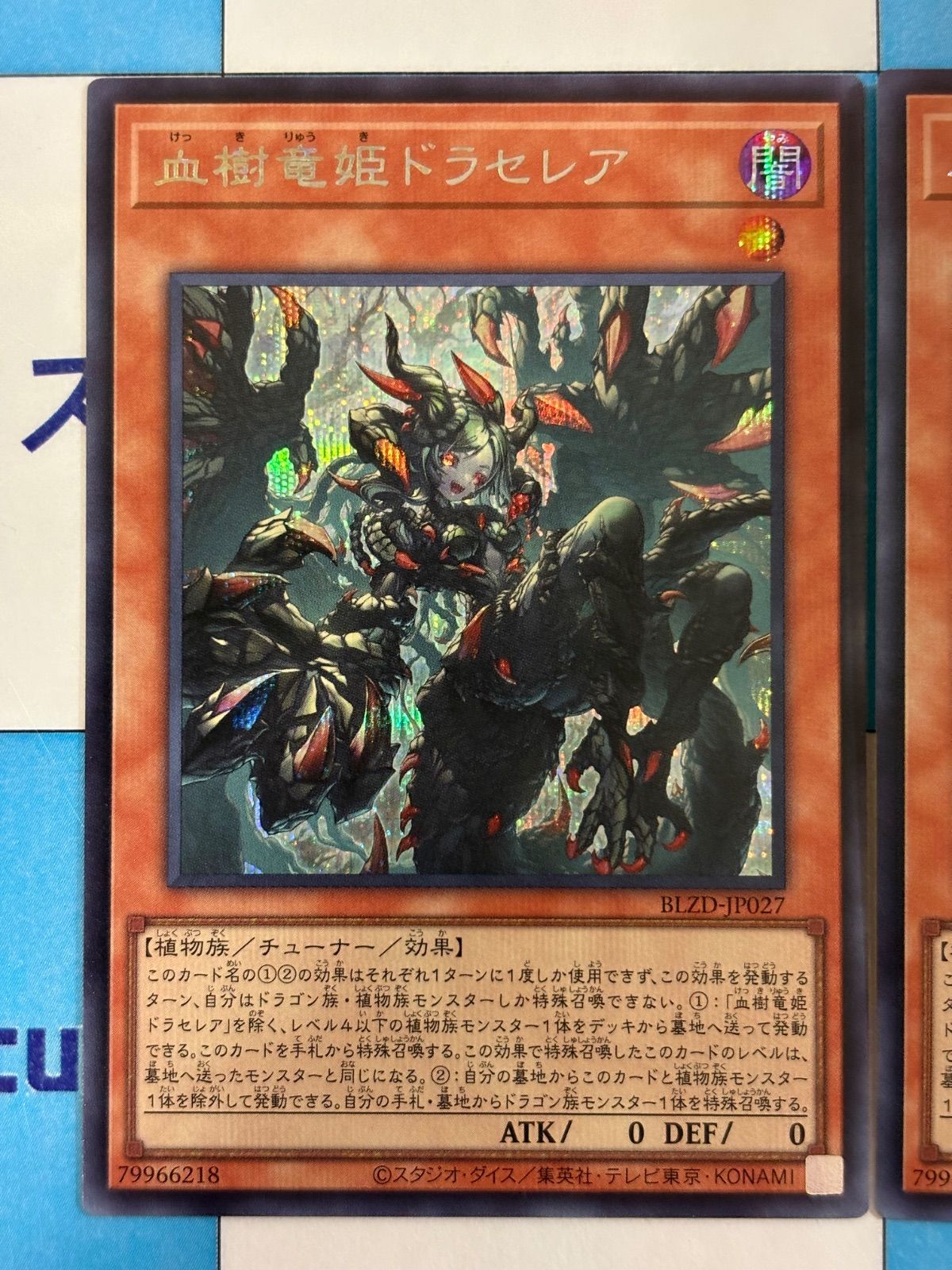 2枚 遊戯王 血樹竜姫ドラセレア プリズマティックシークレットレア