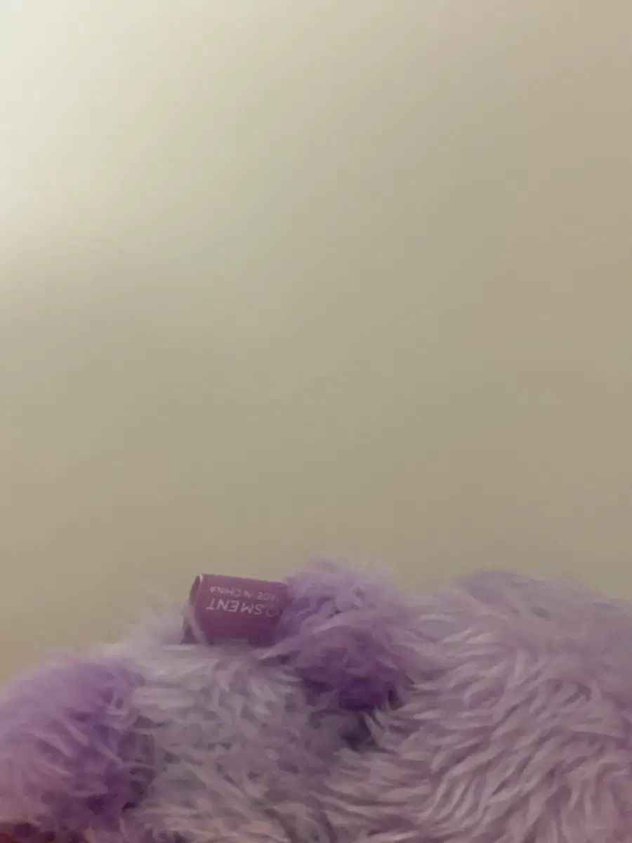 COLOR WIND AND WISH ドール 팡이 サクヤ PURPLE パープル シオン NCT