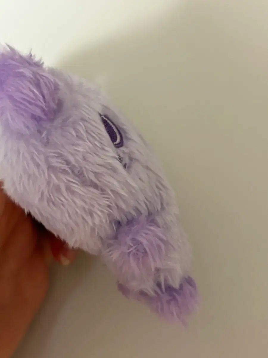 COLOR WIND AND WISH ドール 팡이 サクヤ PURPLE パープル シオン NCT