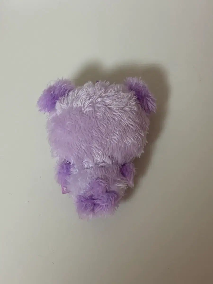 COLOR WIND AND WISH ドール 팡이 サクヤ PURPLE パープル シオン NCT