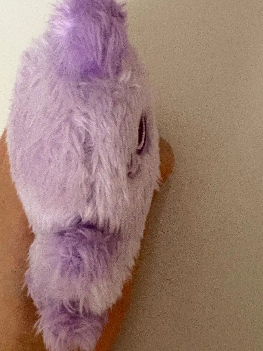 COLOR WIND AND WISH ドール 팡이 サクヤ PURPLE パープル シオン NCT