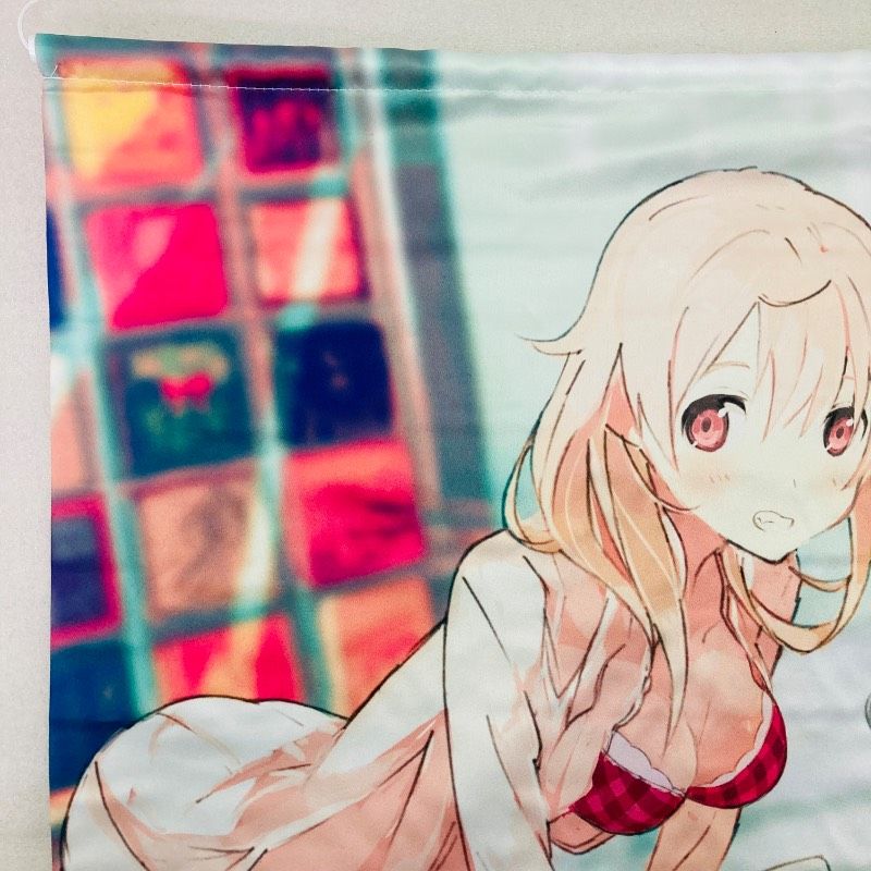 B2サイズ】 タペストリー 「PS4/Switchソフト AKIBA'S TRIP ファースト