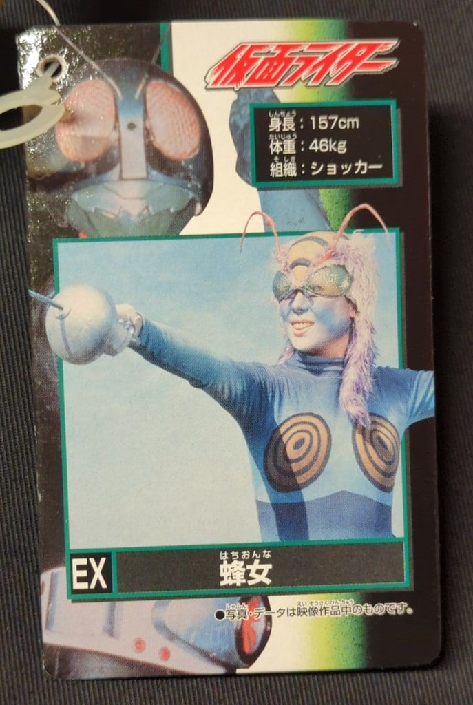 バンダイ ライダー怪人シリーズ/HYPER HOBBY誌上限定 仮面ライダー 蜂
