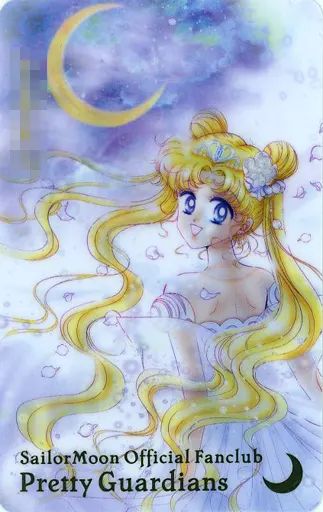 セーラームーン プリンセス・セレニティ 美少女戦士セーラームーン キラカード セーラームーン プリンセス・セレニティ 美少女戦士セーラームーン