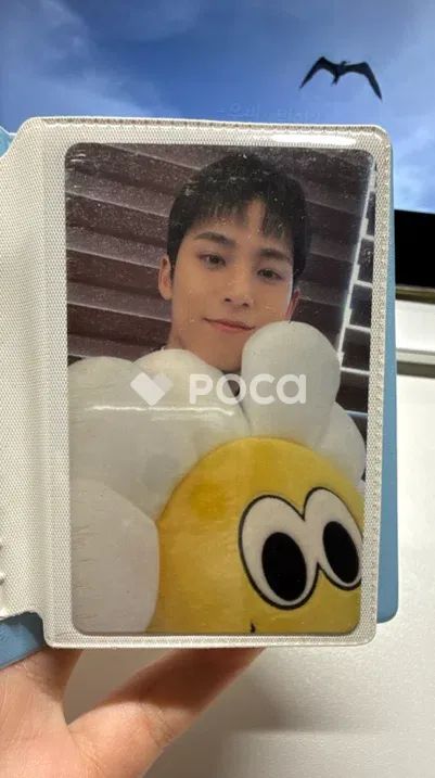 Seventeen ミンギュ セブチ SEVENTEEN TOUR FOLLOW AGAIN TO INCHEON