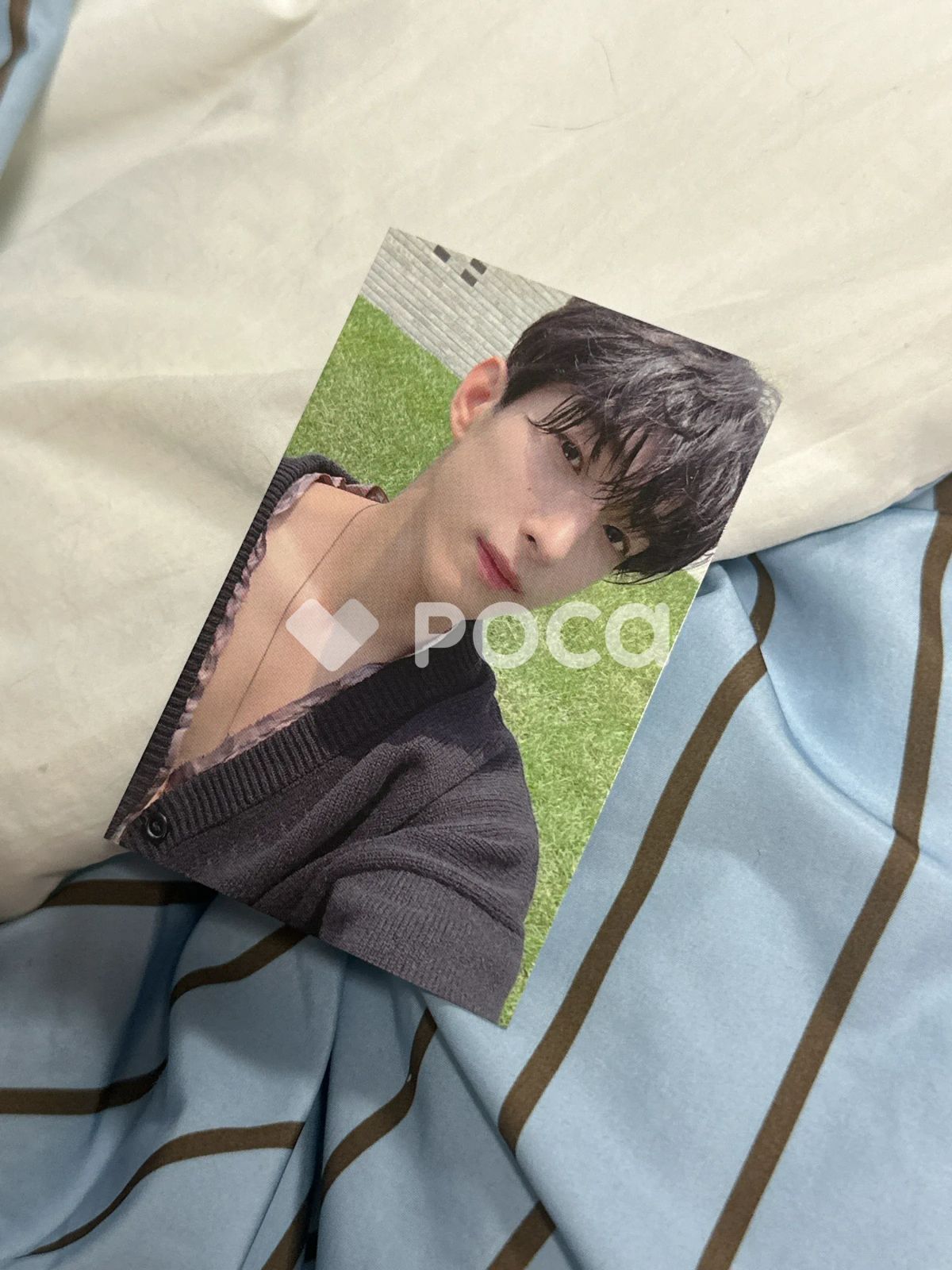 SEVENTEEN 渋谷 セブチ ドギョム トレカ ステッカー Attacca SEVENTEEN 渋谷 セブチ ドギョム トレカ ステッカー Attacca 【公式通販】