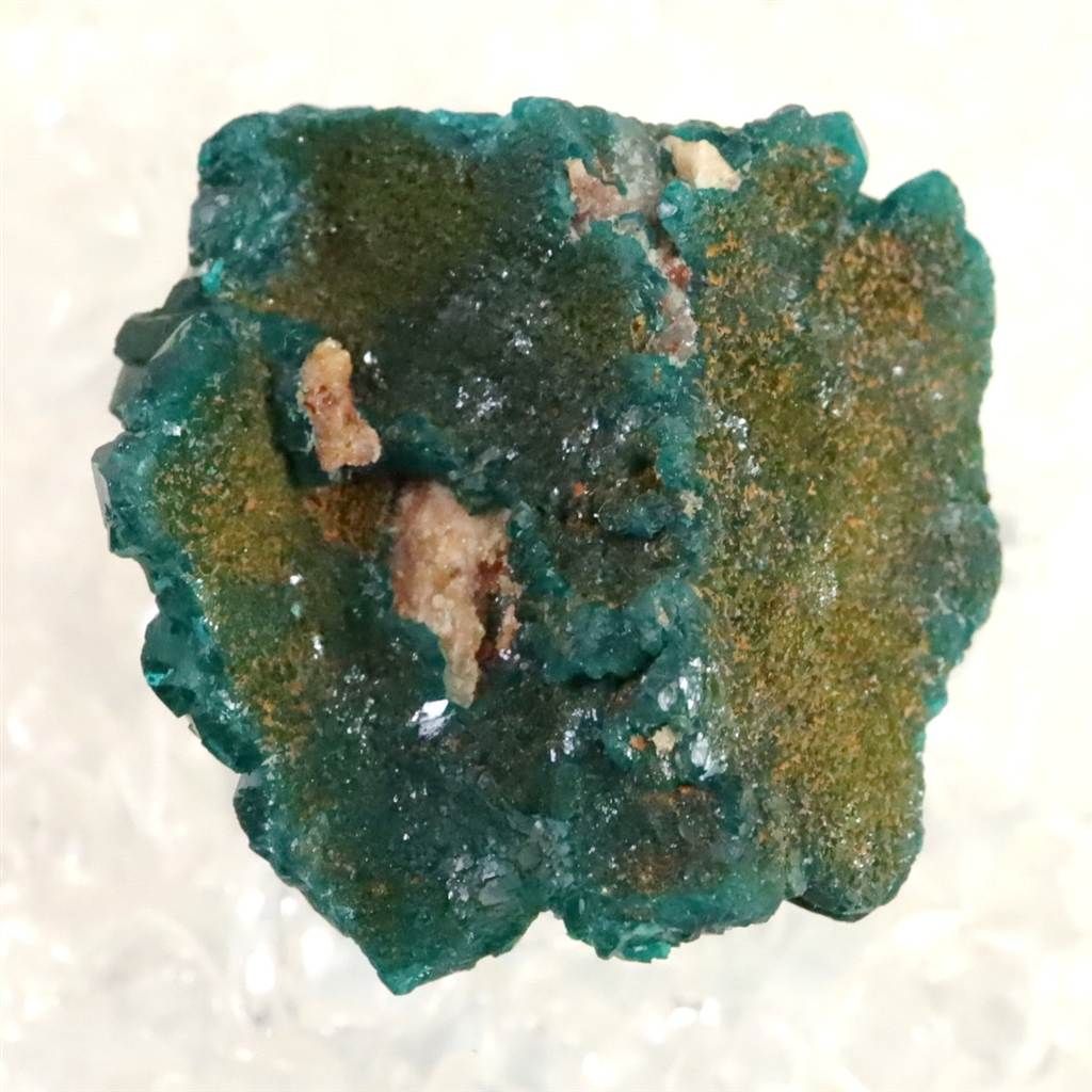 コンゴ産 ダイオプテーズ AA 翠銅鉱 原石 7.6g 【榎本通商83154