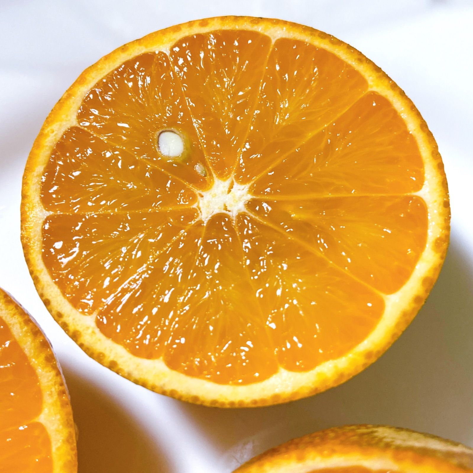 6 世界自然遺産 奄美大島産 完熟たんかん 10キロ 特産品 加工用 柑橘