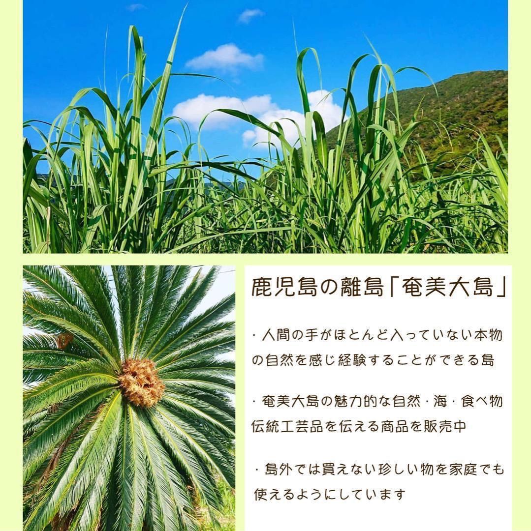 6 世界自然遺産 奄美大島産 完熟たんかん 10キロ 特産品 加工用 柑橘