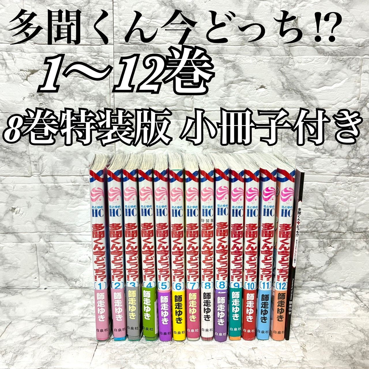 多聞くん今どっち？ 1～12巻 師走ゆき 全巻帯あり 12冊セット】白泉社 師走ゆき 多聞くん今どっち!? 1巻〜12巻 帯付き(12