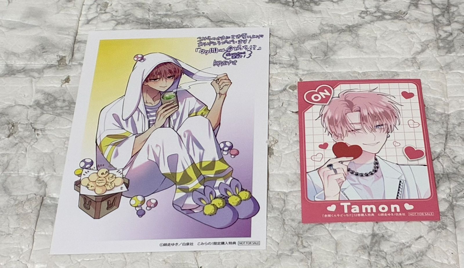 12冊セット】白泉社 師走ゆき 多聞くん今どっち!? 1巻〜12巻 帯付き(12