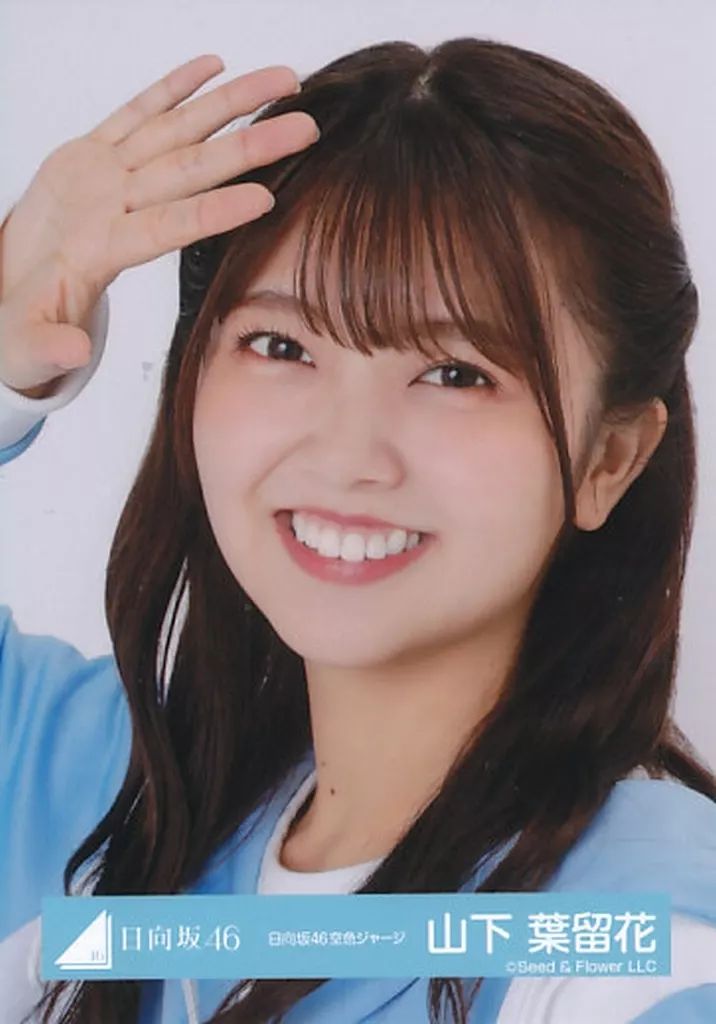 中古】生写真(乃木坂46) 山下葉留花/バストアップ/日向坂46ランダム生