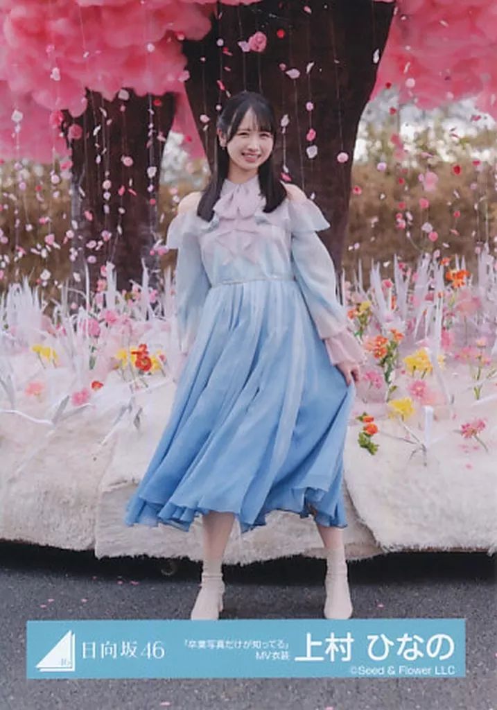 中古】生写真(乃木坂46) 上村ひなの/全身・桜/日向坂46ランダム生写真