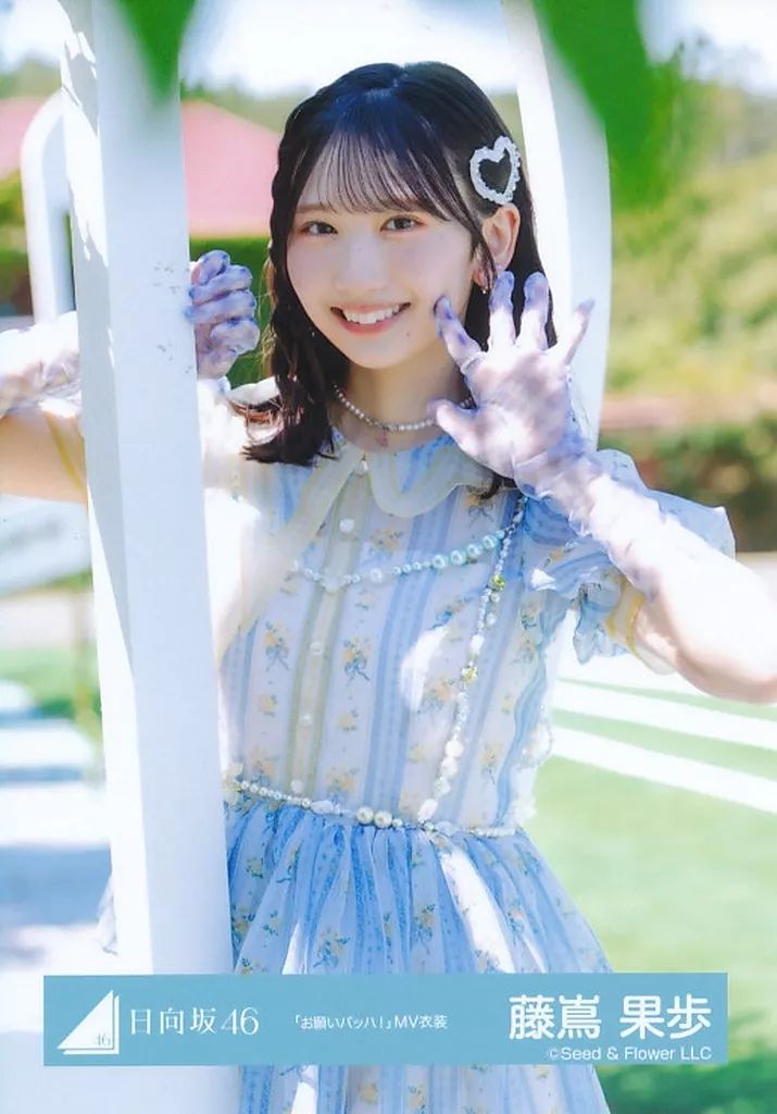 藤嶌果歩 66コンプまとめ売り 日向坂 生写真 藤嶌果歩 66コンプまとめ