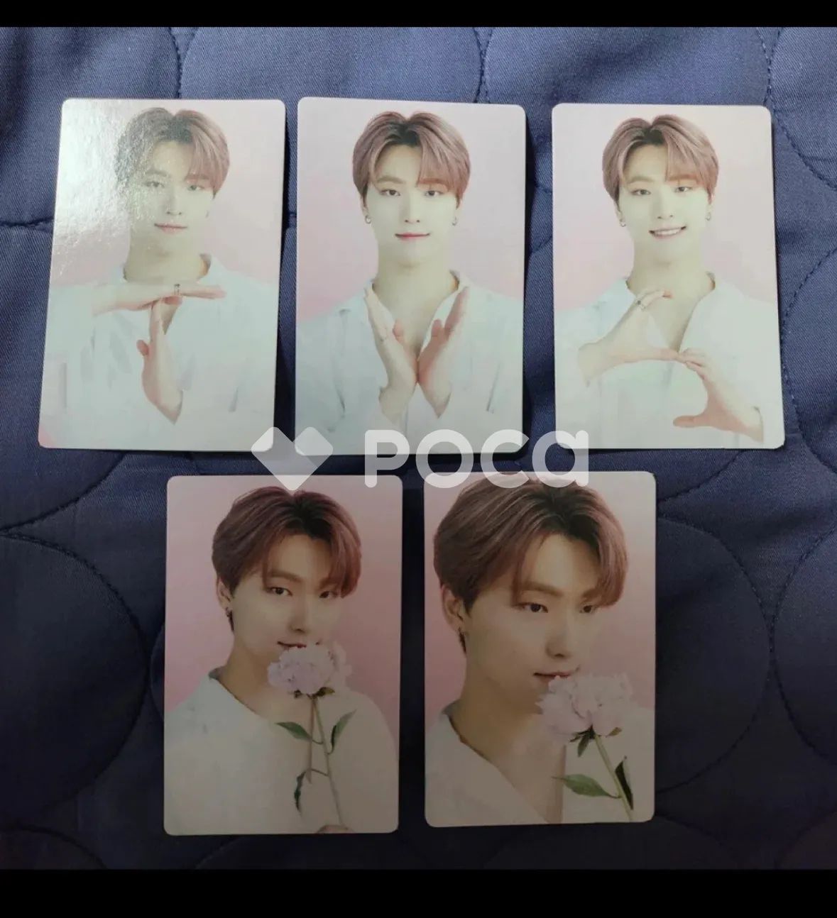 Seventeen ディノ セブチ SEVENTEEN CAFE in SEOUL Trading Card Set