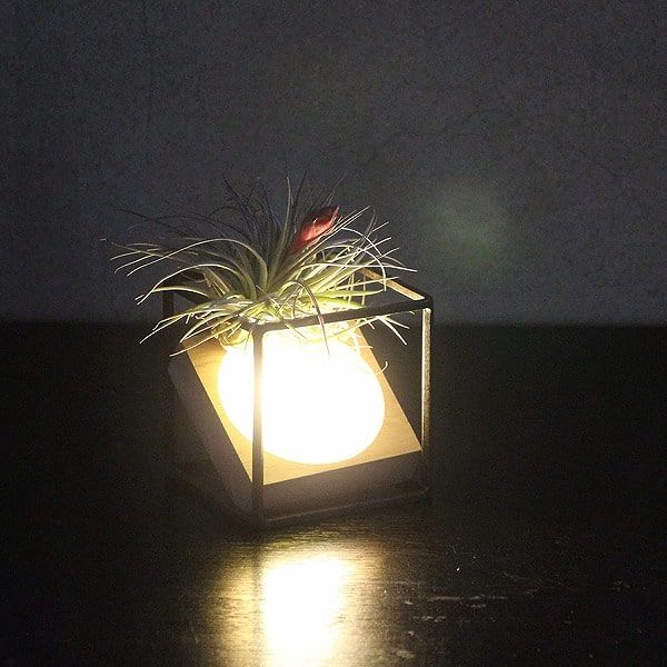 ジョセフアイアン ディスプレイワイヤーフレーム キューブ Sサイズ