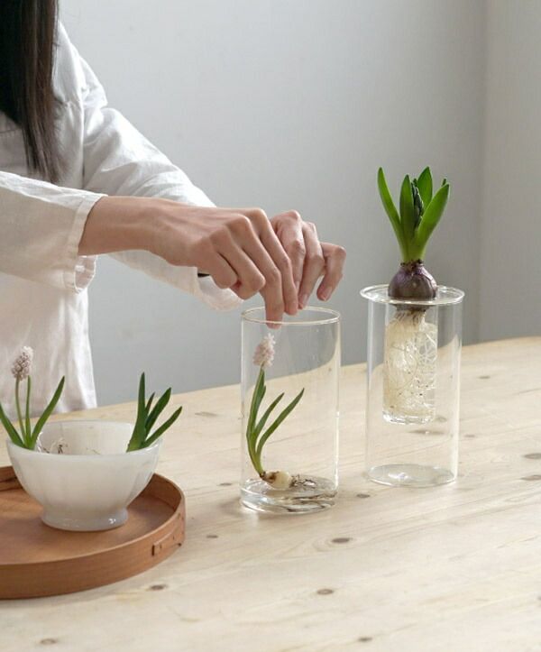 花瓶 PINO ガラスベース ストレート クリア アクシス ホームステッド