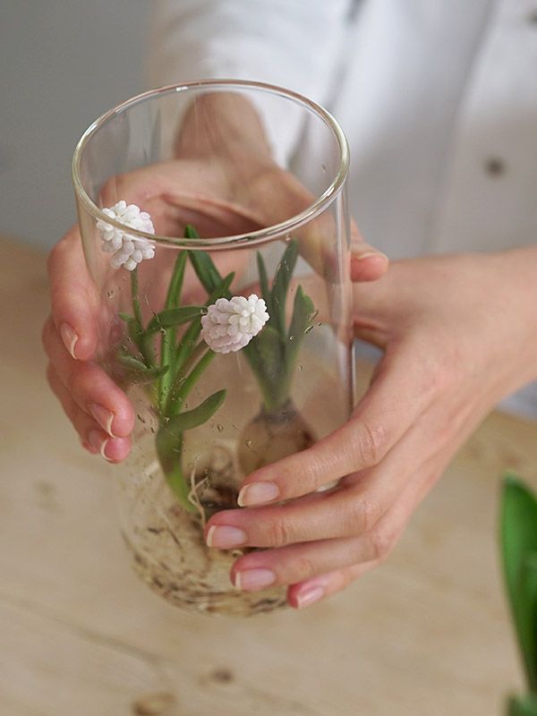 花瓶 PINO ガラスベース ストレート クリア アクシス ホームステッド