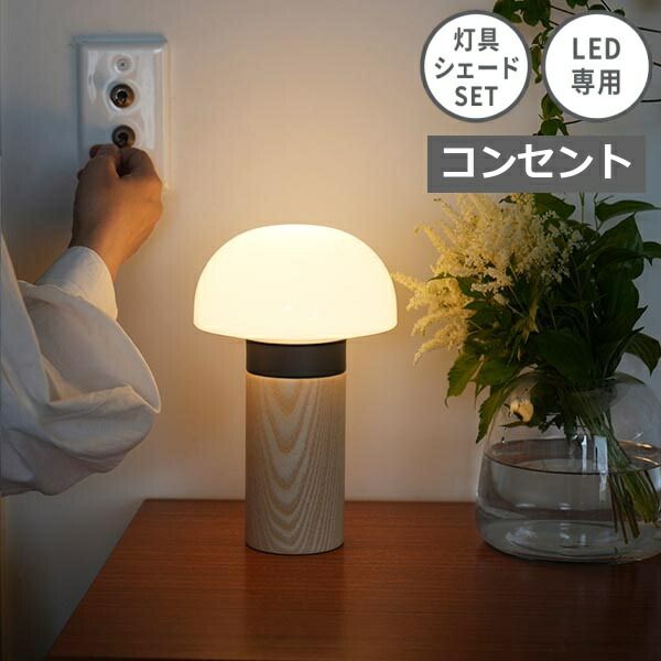 スタンドライト グレー AXCIS アクシス Joo stand light 照明 テーブル