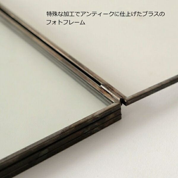 フォトフレーム ラスティ ブラスフォトフレーム ダブル Lサイズ Horn