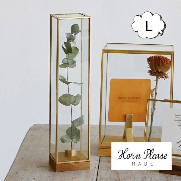 ブラスフレーム ガラスケース ディスプレイボックス トール Lサイズ