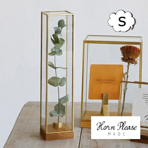 ブラスフレーム ガラスケース ディスプレイボックス トール Sサイズ