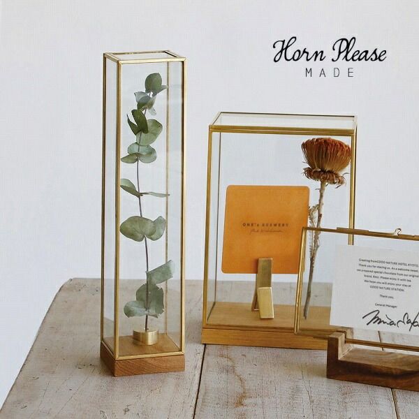 ブラスフレーム ガラスケース ディスプレイボックス トール Sサイズ