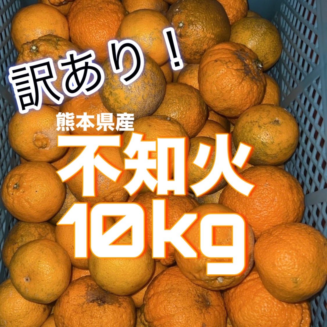 熊本産！訳あり不知火 10kg 3999円 - メルカリ