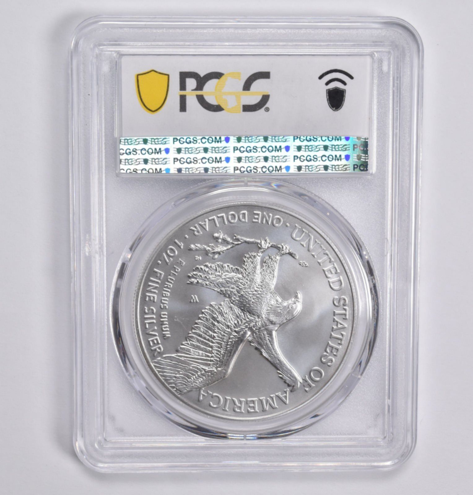 2022-W バーニッシュドシルバーイーグル SP70 PCGS ブルーラベル