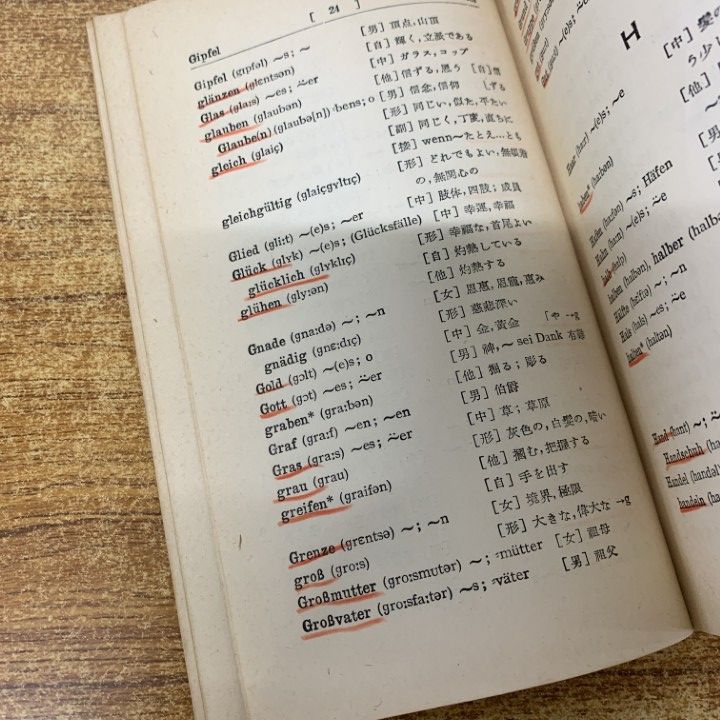 △01)【1点限り!】関口存男など ドイツ語の参考書・辞典/まとめ売り15