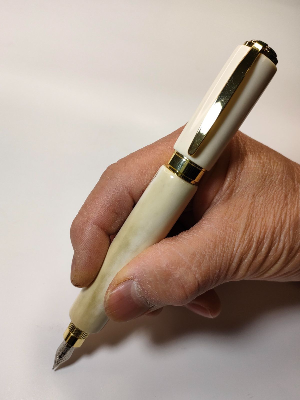 鹿の角】グラデュエイト万年筆 - メルカリ