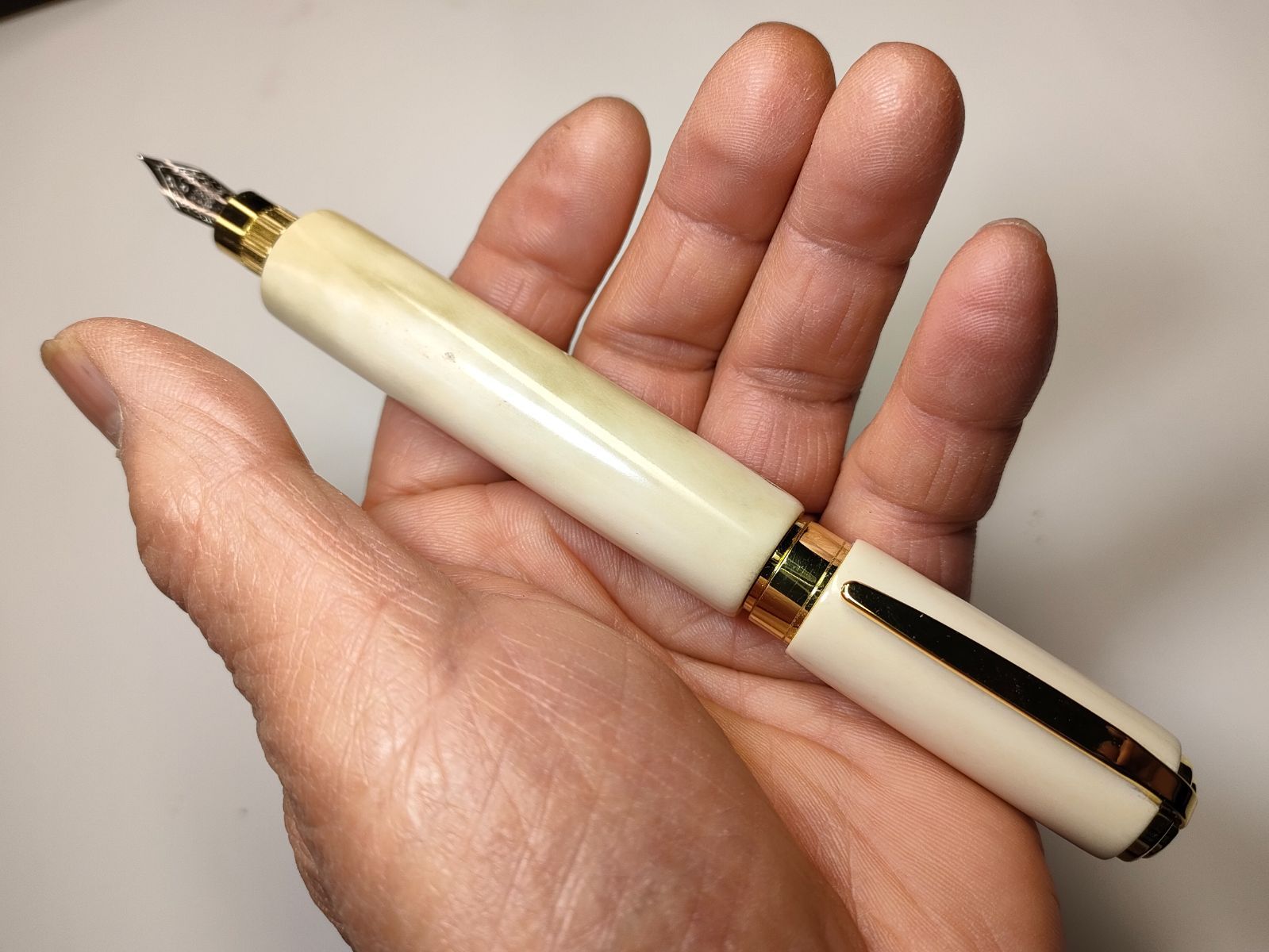 鹿の角】グラデュエイト万年筆 - メルカリ