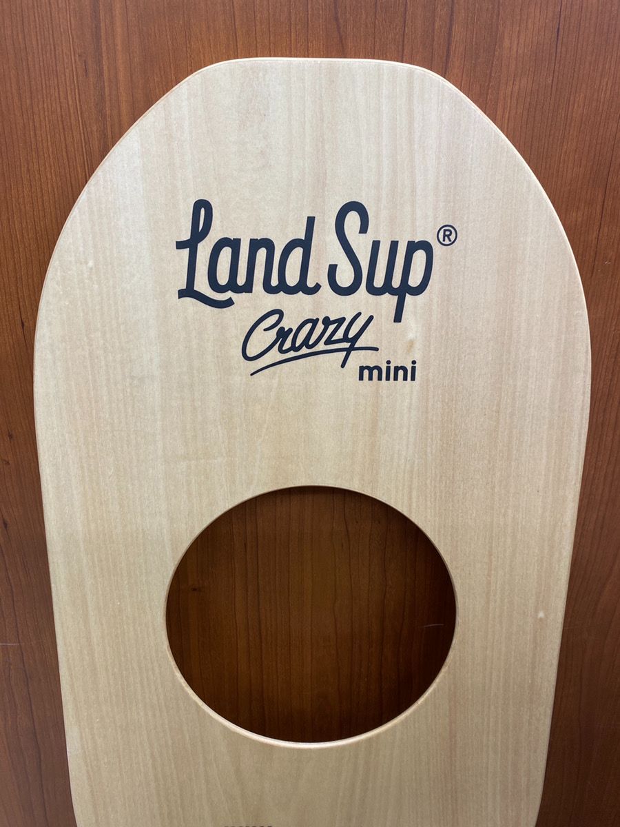 エクササイズグッズ LandSup Crazy mini ランドサップクレイジーミニ