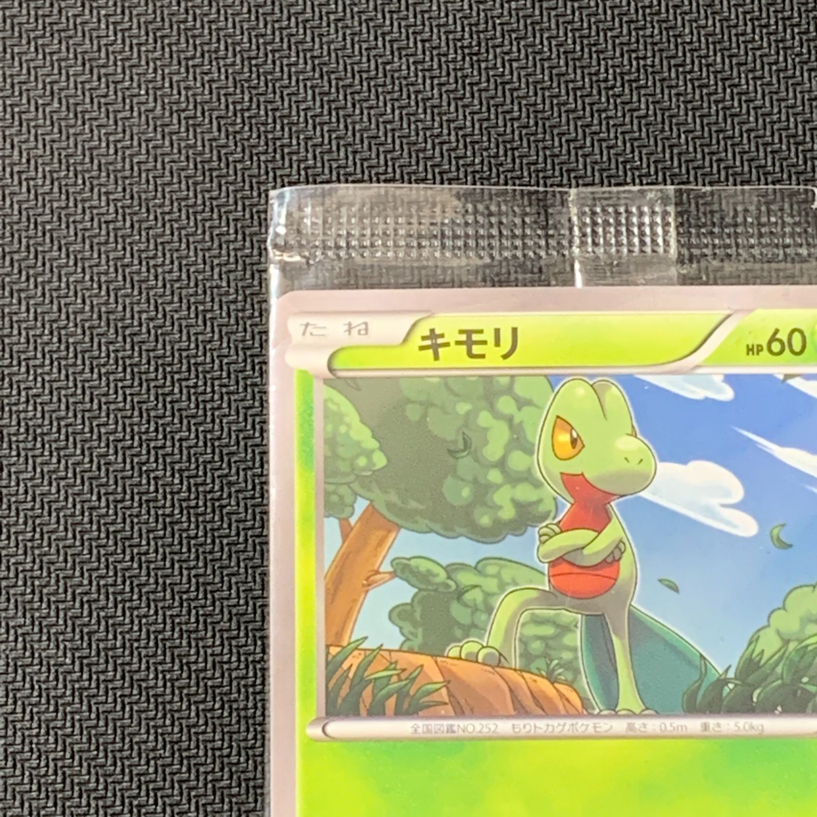 むつ56-020120] ポケモンカード キモリ プロモ 未開封 107/XY-P - メルカリ